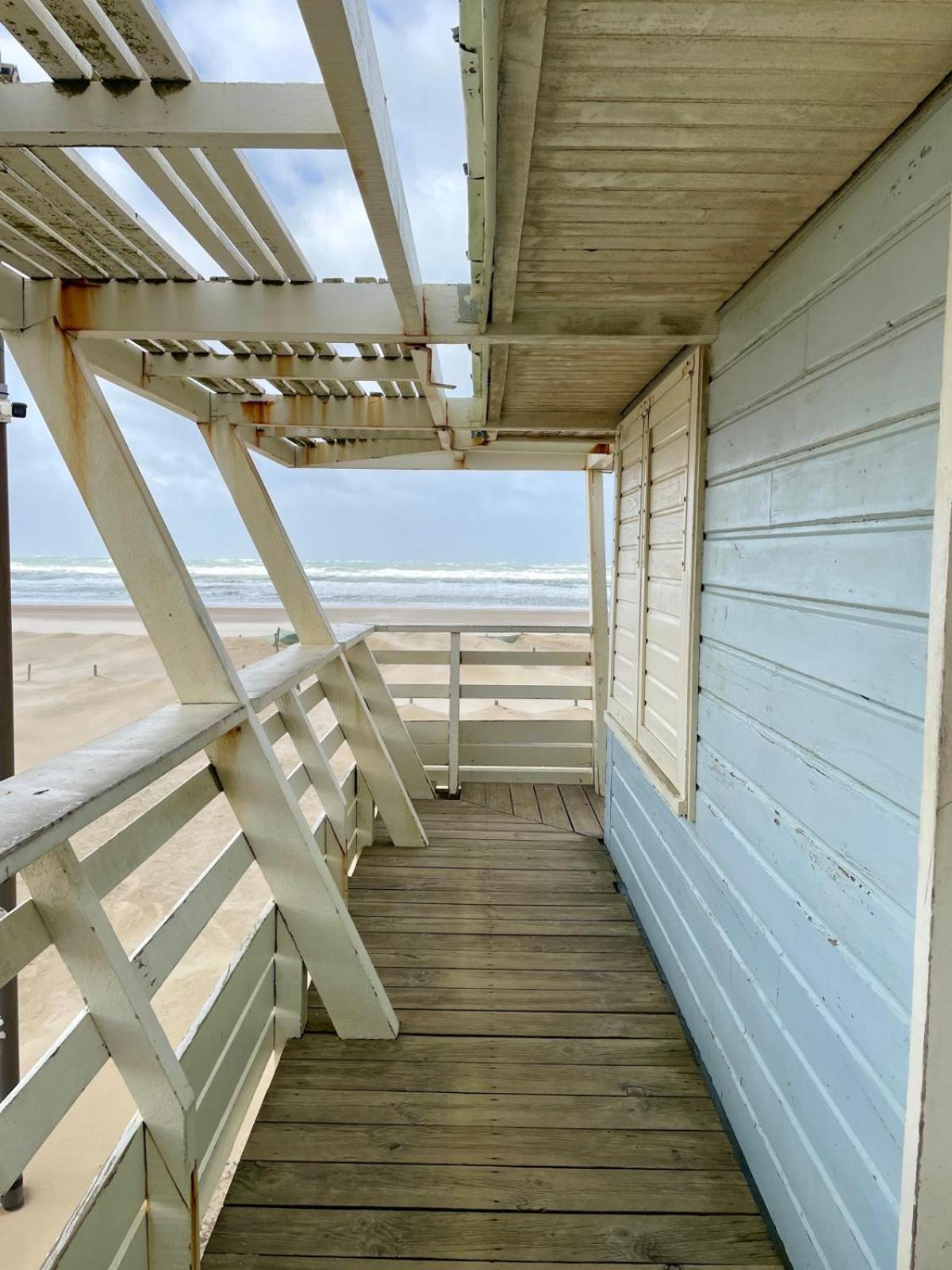 Appart Cosy Green, Ocean, Golf, Piscine, Wifi 莫列马阿 外观 照片